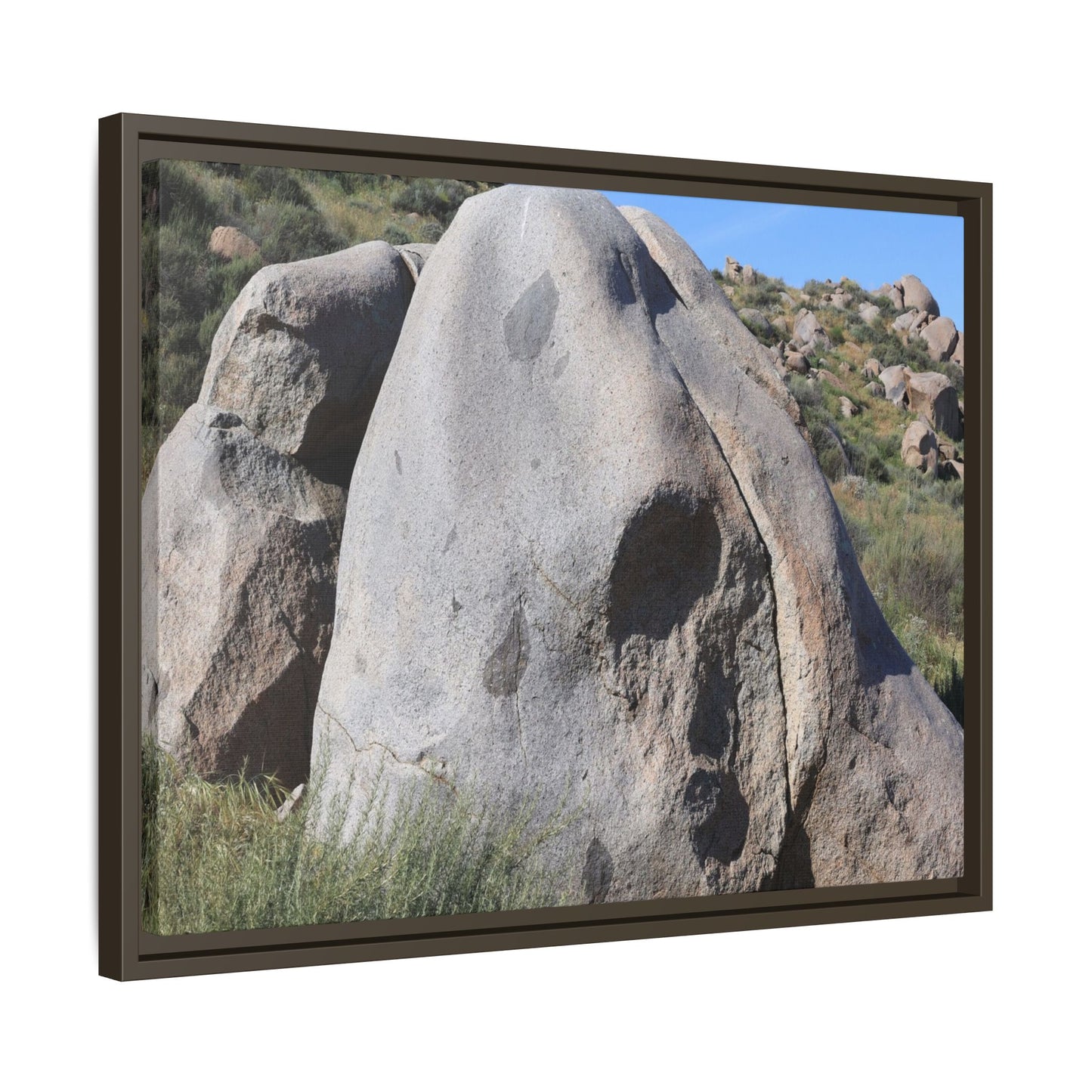 Skull Rock Desert - Unique Stretched Canvas Wall Art - Art By Earth