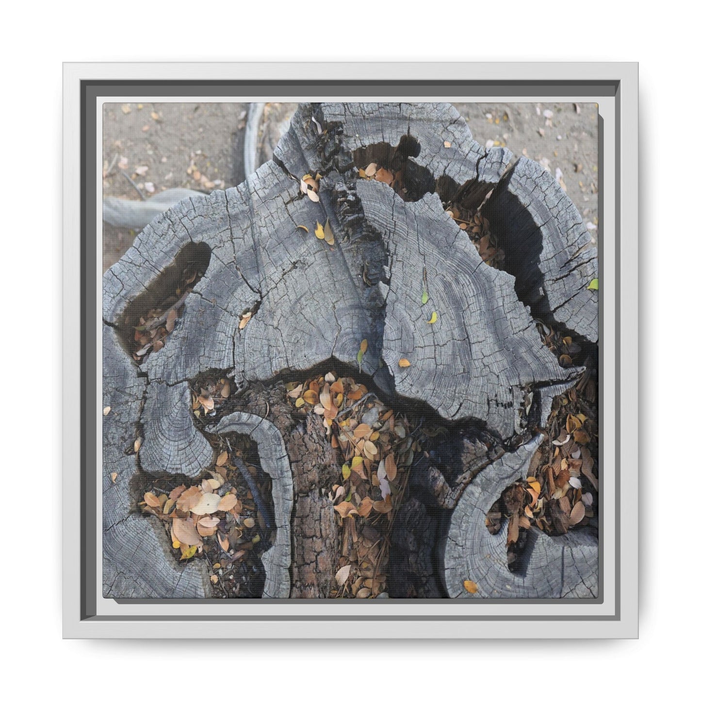 Time's Fractal Memory - Unique Stretched Canvas Wall Art - Art By Earth