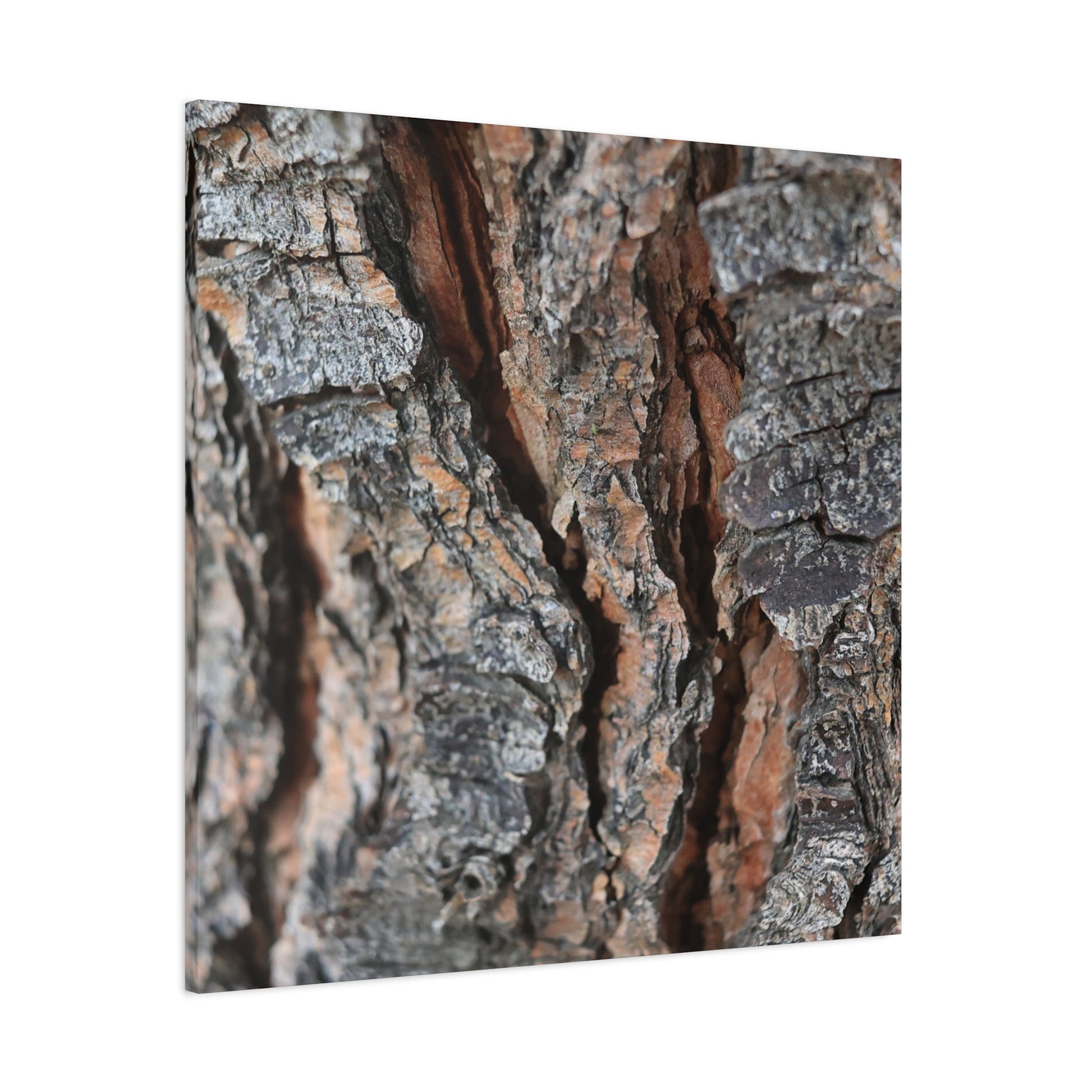 Rough Whispers - Unique Frameless Canvas Wall Art - Art By Earth