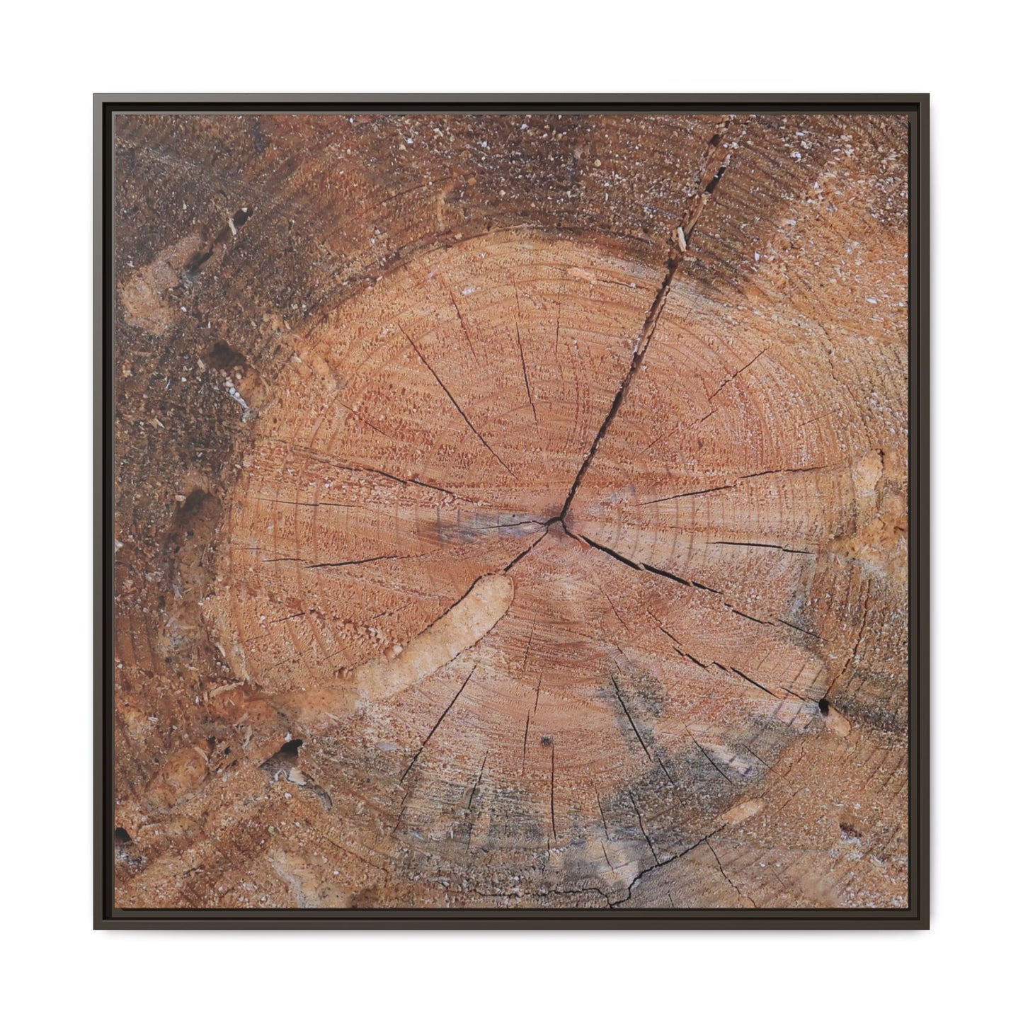Concentric Memories - Unique Stretched Canvas Wall Art - Art By Earth