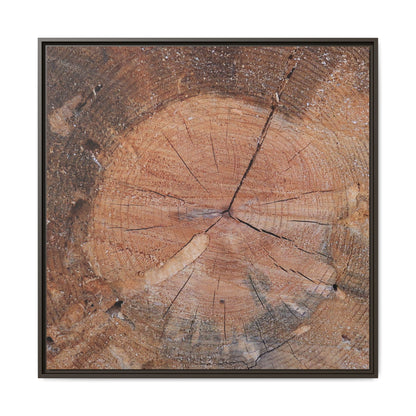 Concentric Memories - Unique Stretched Canvas Wall Art - Art By Earth