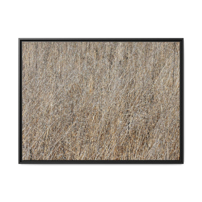 Dry Straw Symphony - Unique Stretched Canvas Wall Art - Art By Earth