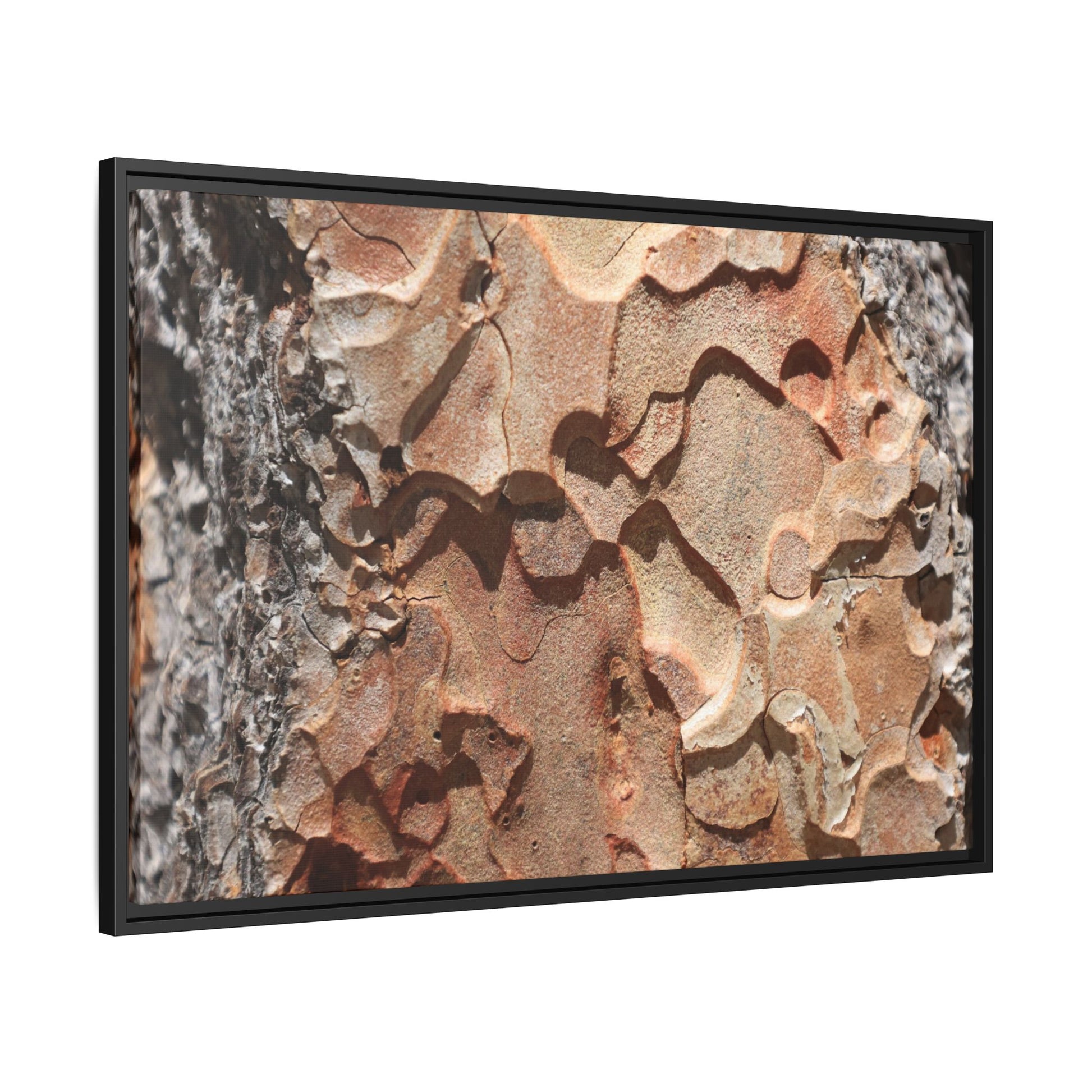 Rust and Stone - Unique Stretched Canvas Wall Art - Art By Earth