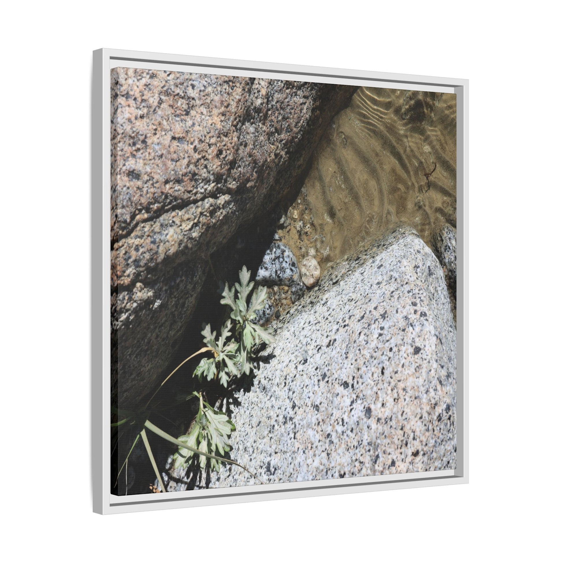 Resilience in Stone - Unique Stretched Canvas Wall Art - Art By Earth