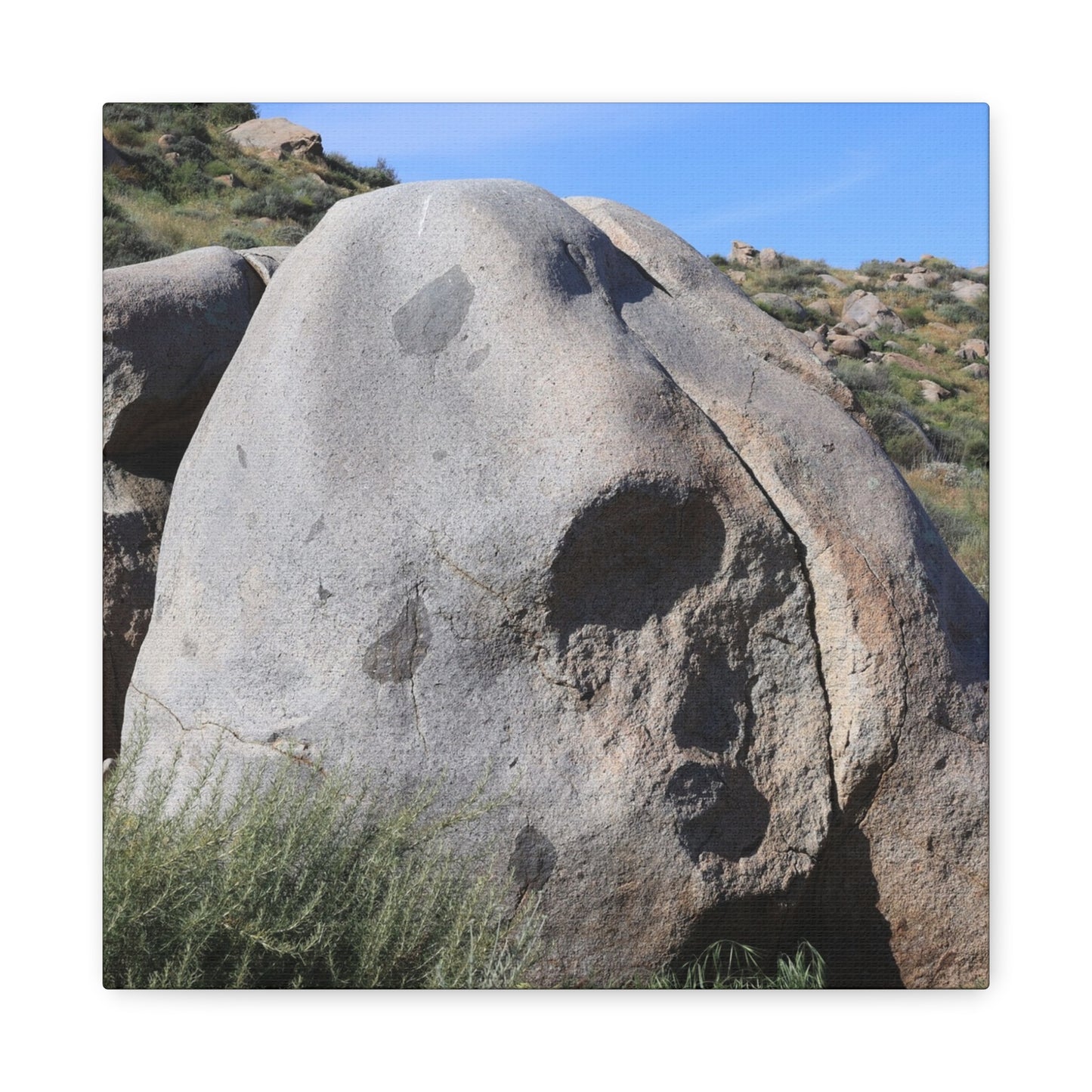Skull Rock - Unique Frameless Canvas Wall Art - Art By Earth