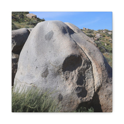 Skull Rock - Unique Frameless Canvas Wall Art - Art By Earth