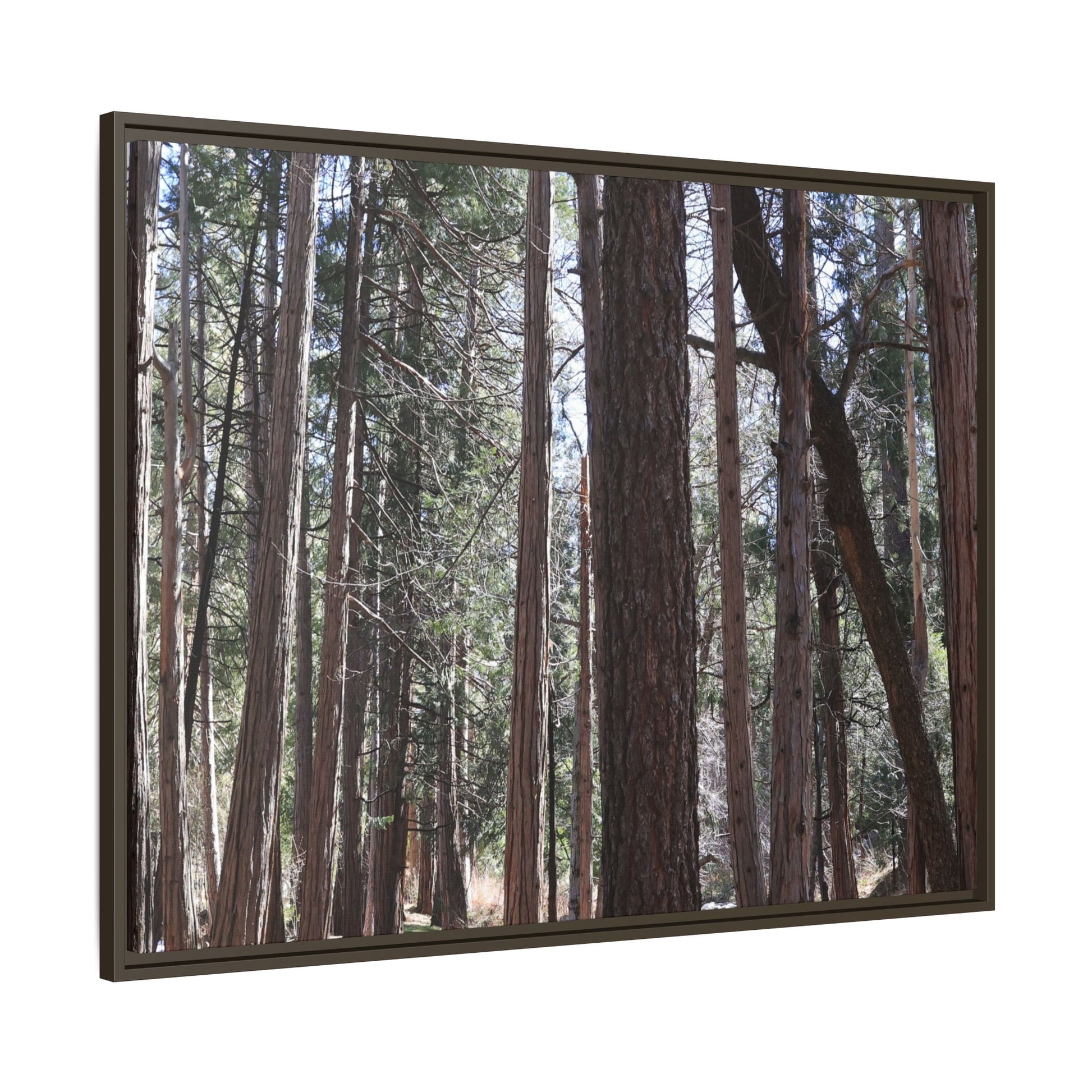 Forest Cathedral - Unique Stretched Canvas Wall Art - Art By Earth