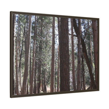 Forest Cathedral - Unique Stretched Canvas Wall Art - Art By Earth