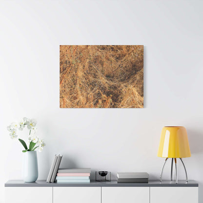 Dried Grasses - Unique Frameless Canvas Wall Art - Art By Earth
