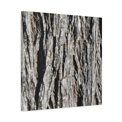 Bark Layers in Monochrome - Unique Frameless Canvas Wall Art - Art By Earth
