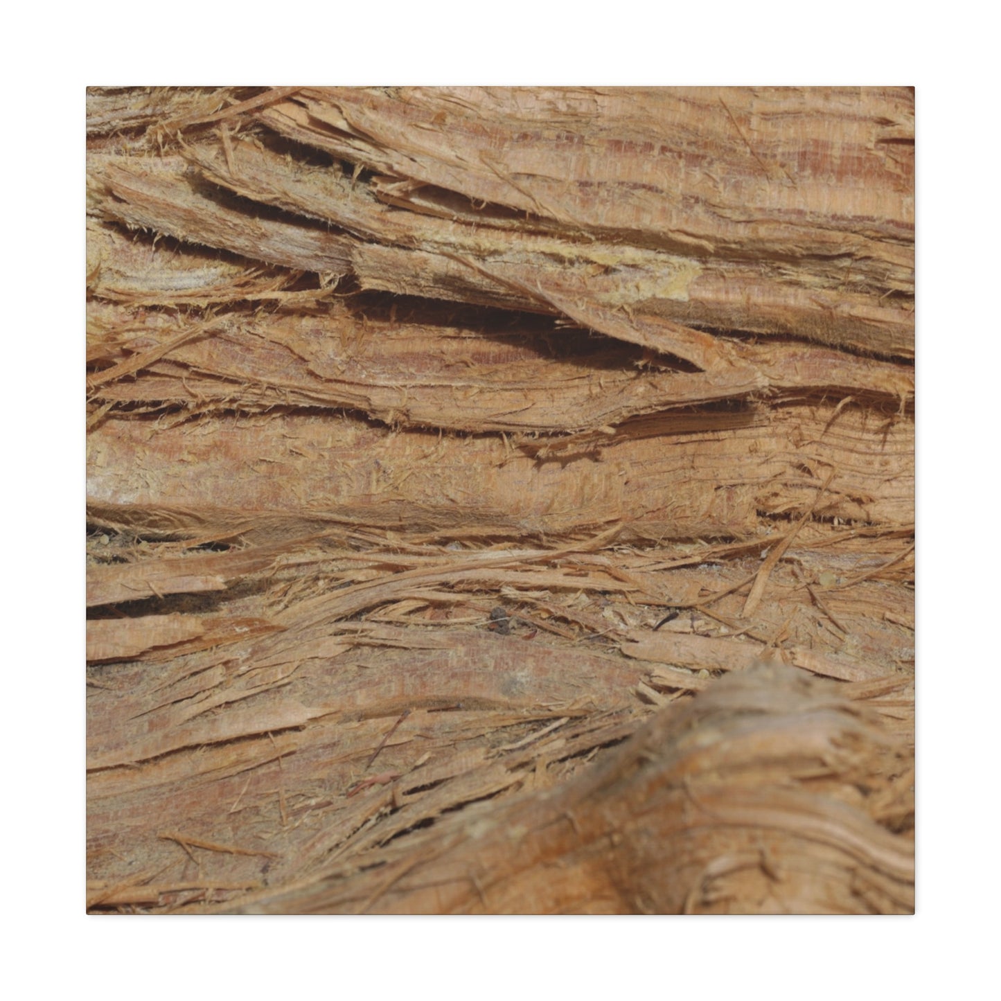 Layers of Memory - Unique Frameless Canvas Wall Art - Art By Earth