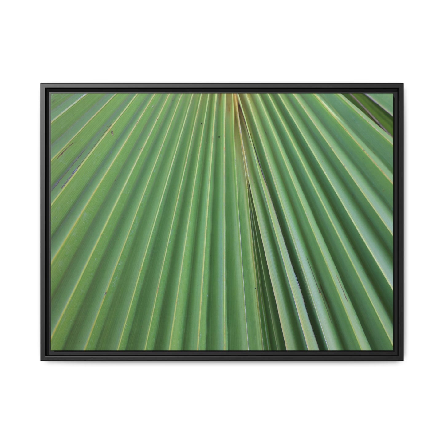Verdant Veins - Unique Stretched Canvas Wall Art - Art By Earth
