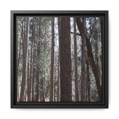 Forest Cathedral - Unique Stretched Canvas Wall Art - Art By Earth