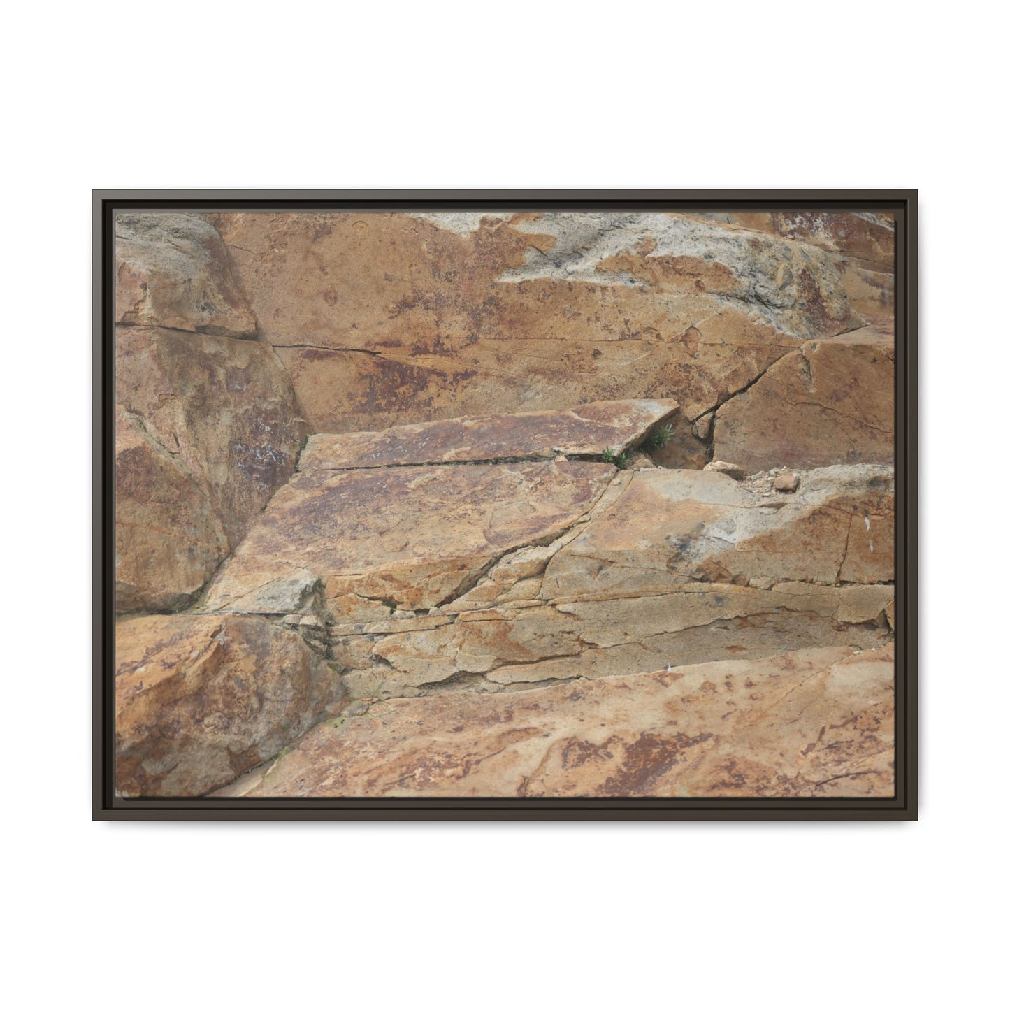 Ancient Foundations - Unique Stretched Canvas Wall Art - Art By Earth