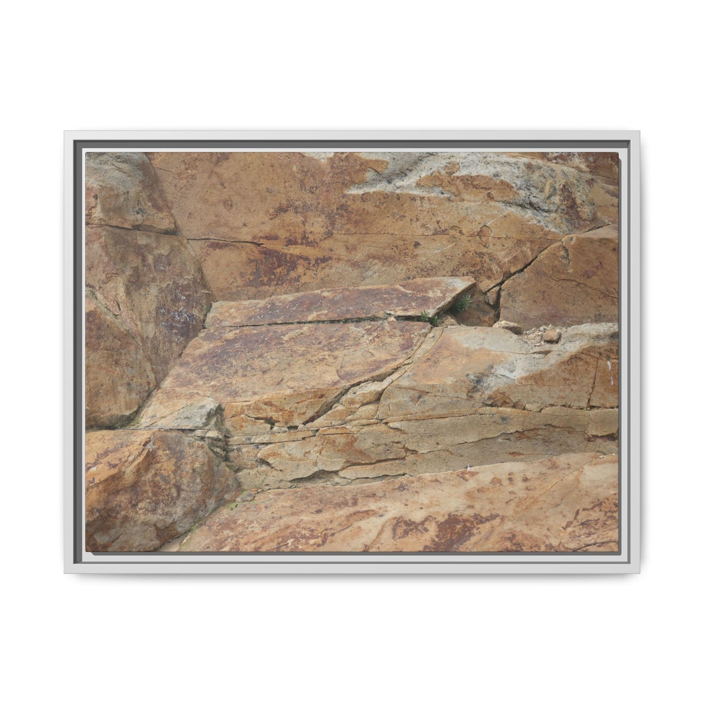 Ancient Foundations - Unique Stretched Canvas Wall Art - Art By Earth