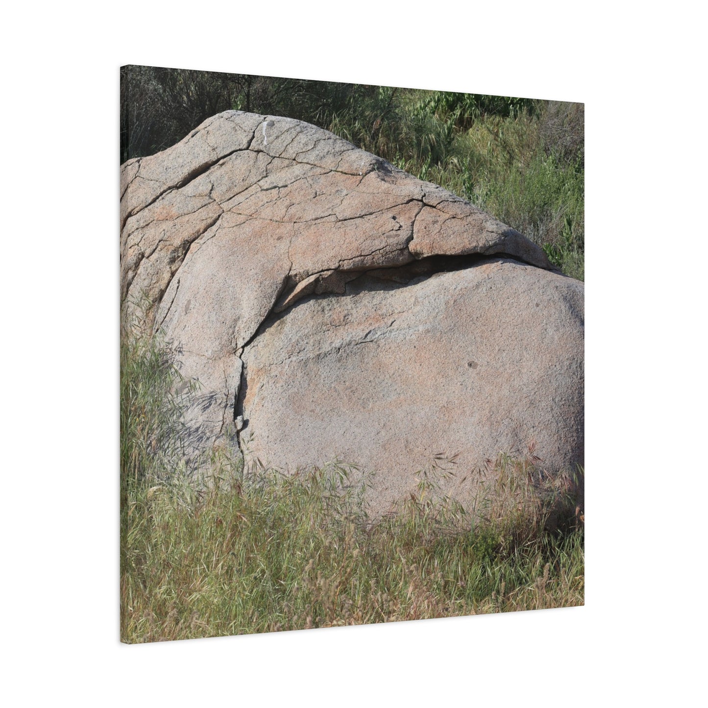 Granite Boulder in Desert Scrub - Unique Frameless Canvas Wall Art - Art By Earth