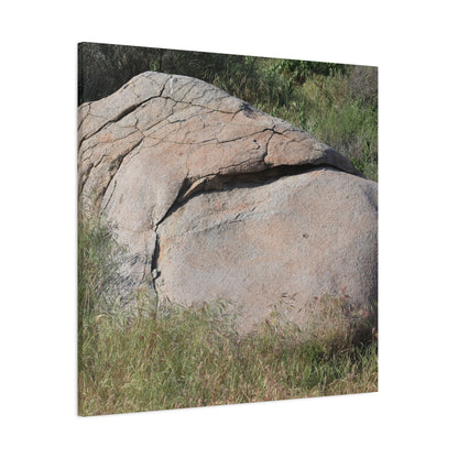 Granite Boulder in Desert Scrub - Unique Frameless Canvas Wall Art - Art By Earth