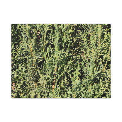 Emerald Tapestry - Unique Frameless Canvas Wall Art - Art By Earth