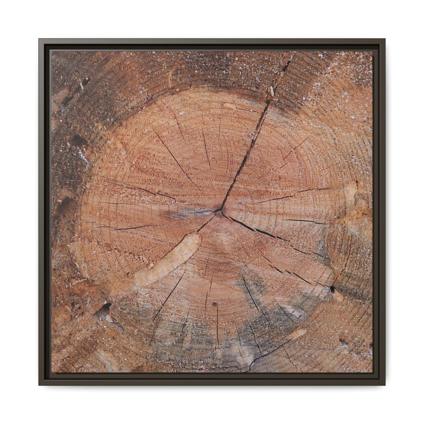 Concentric Memories - Unique Stretched Canvas Wall Art - Art By Earth