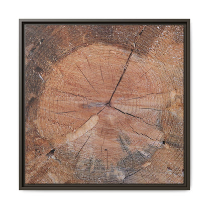 Concentric Memories - Unique Stretched Canvas Wall Art - Art By Earth