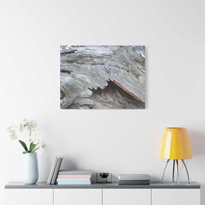 Whispers of Ancient Wood - Unique Frameless Canvas Wall Art - Art By Earth