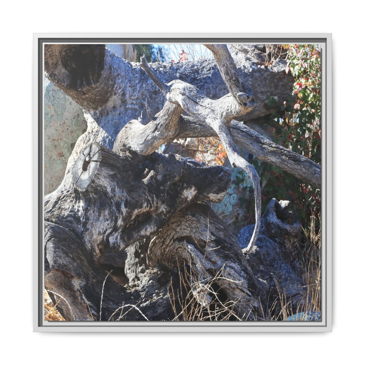 Resilient Roots - Unique Stretched Canvas Wall Art - Art By Earth