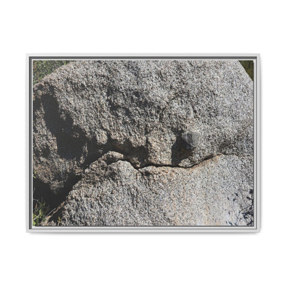 Stone Skull in Desert - Unique Stretched Canvas Wall Art