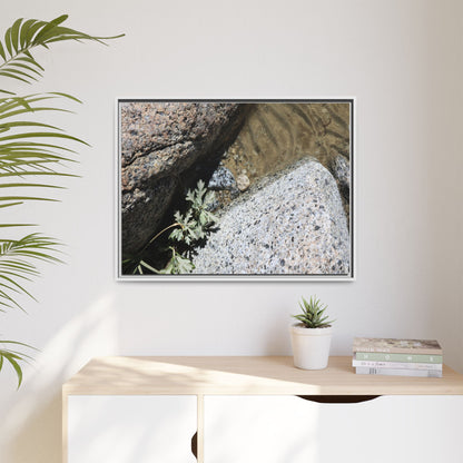 Resilience in Stone - Unique Stretched Canvas Wall Art - Art By Earth