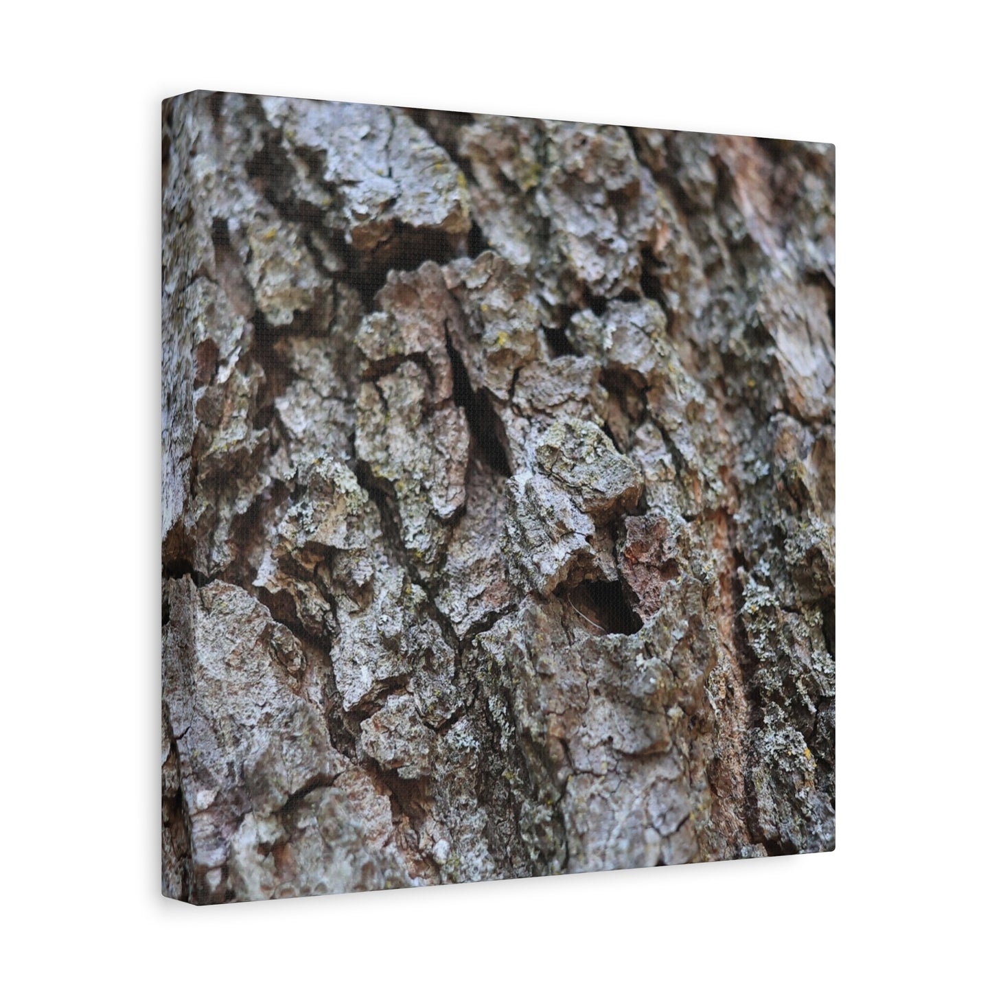 Cracked Echoes - Unique Frameless Canvas Wall Art - Art By Earth