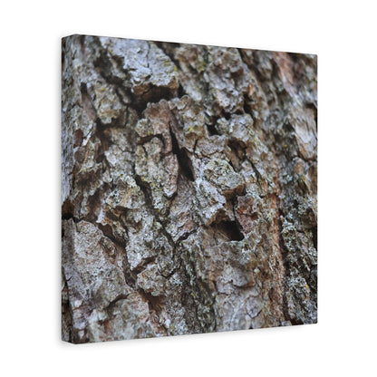 Cracked Echoes - Unique Frameless Canvas Wall Art - Art By Earth