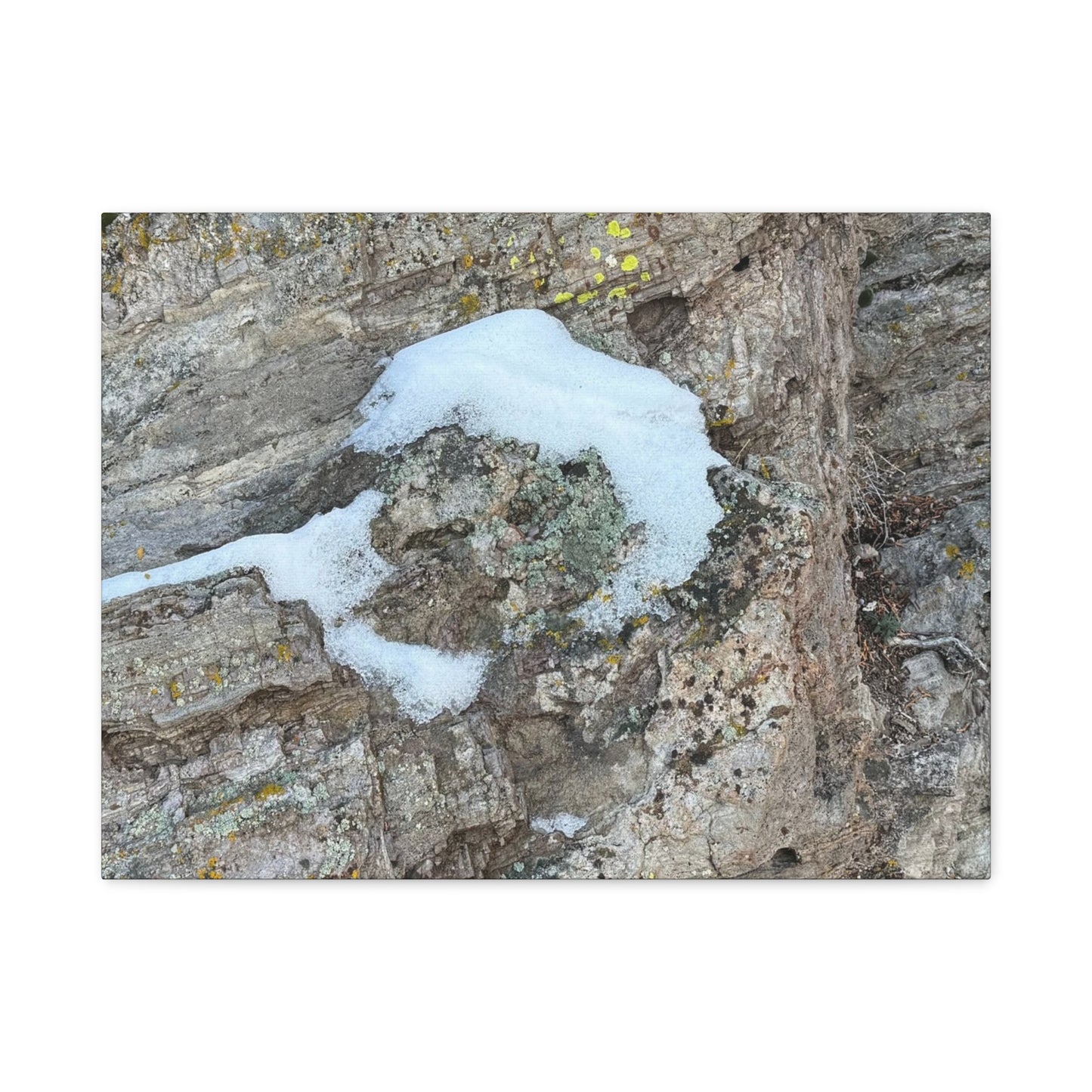 Snow on Stone - Unique Frameless Canvas Wall Art