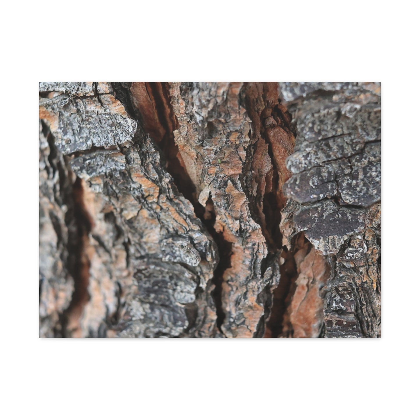 Rough Whispers - Unique Frameless Canvas Wall Art - Art By Earth