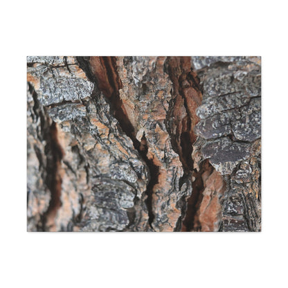 Rough Whispers - Unique Frameless Canvas Wall Art - Art By Earth