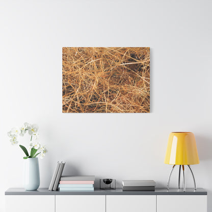 Dry Grass - Unique Frameless Canvas Wall Art - Art By Earth