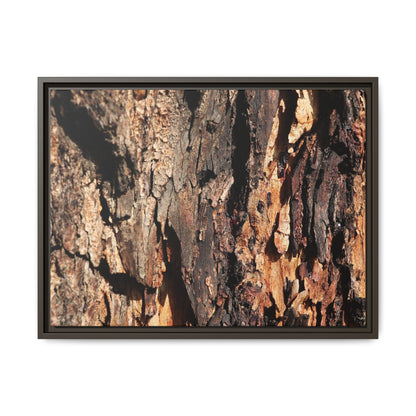 Rugged Beauty - Unique Stretched Canvas Wall Art - Art By Earth