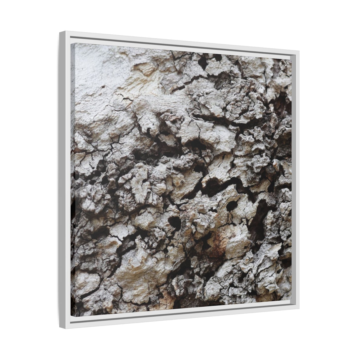 Cracked Terrain - Unique Stretched Canvas Wall Art - Art By Earth