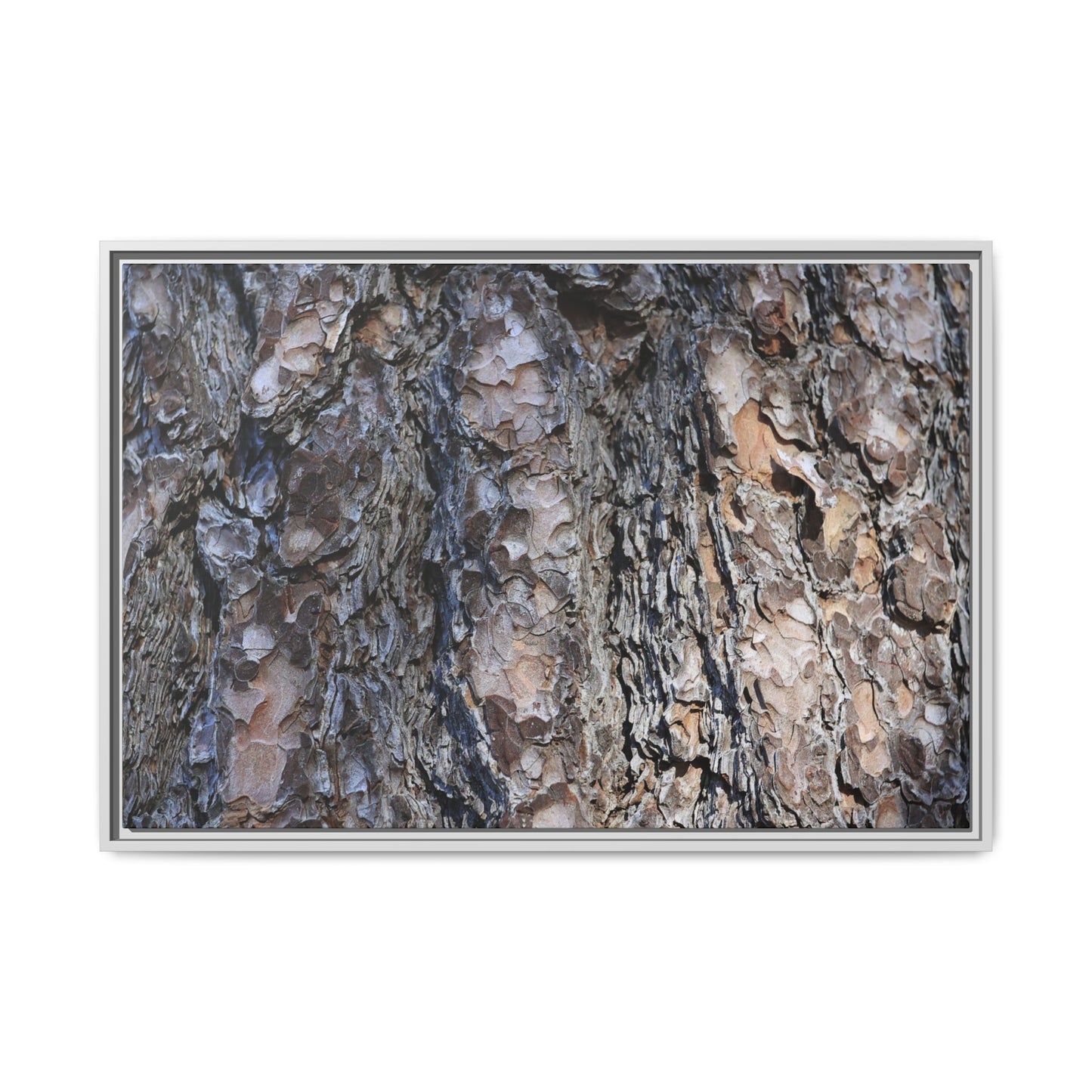 Weathered Patterns - Unique Stretched Canvas Wall Art - Art By Earth