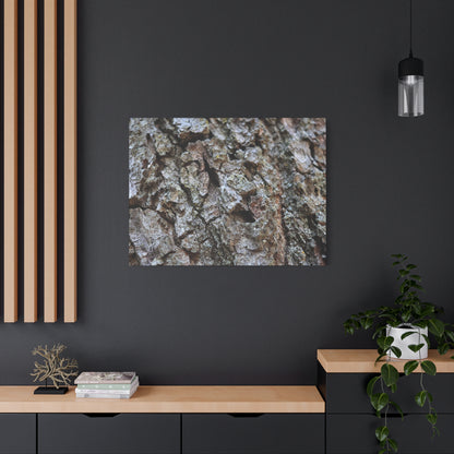 Cracked Echoes - Unique Frameless Canvas Wall Art - Art By Earth