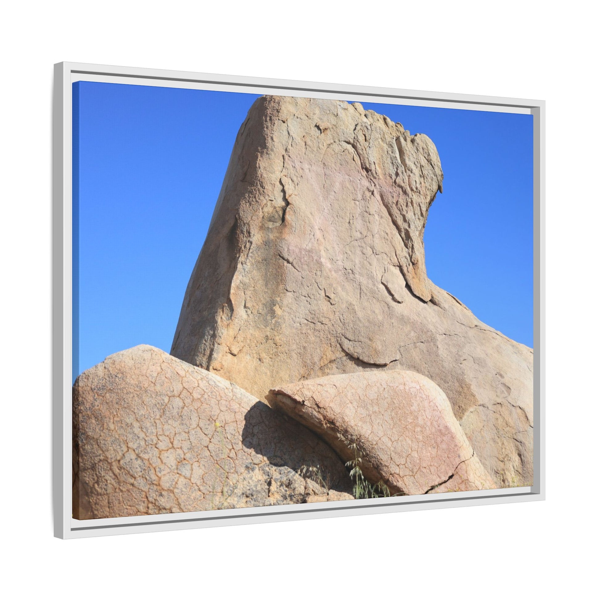Rocky Sentinel - Unique Stretched Canvas Wall Art - Art By Earth