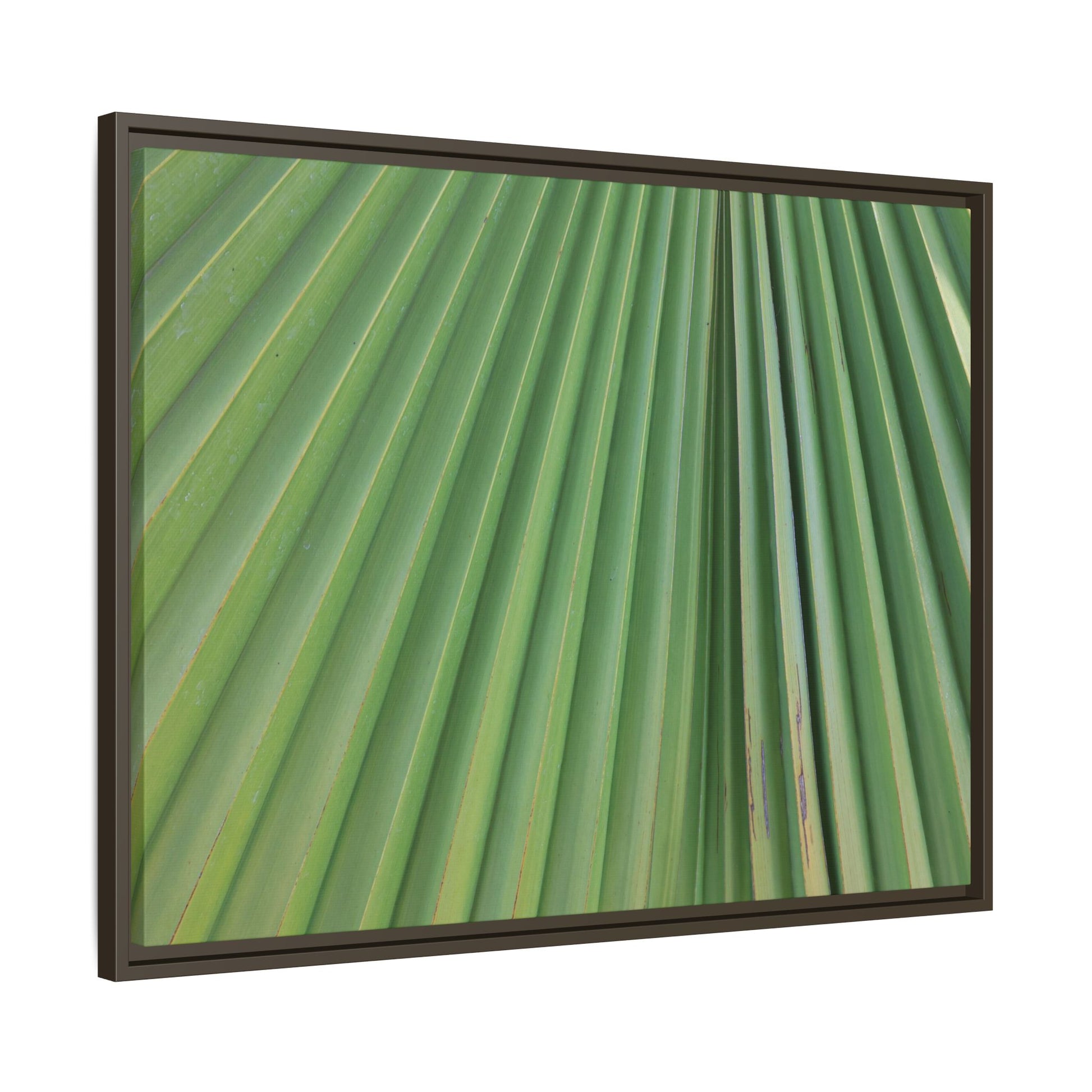 Emerald Rays - Unique Stretched Canvas Wall Art - Art By Earth