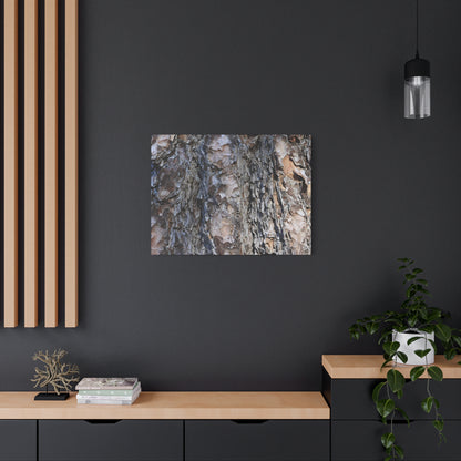 Bark's Rugged Symphony - Unique Frameless Canvas Wall Art - Art By Earth