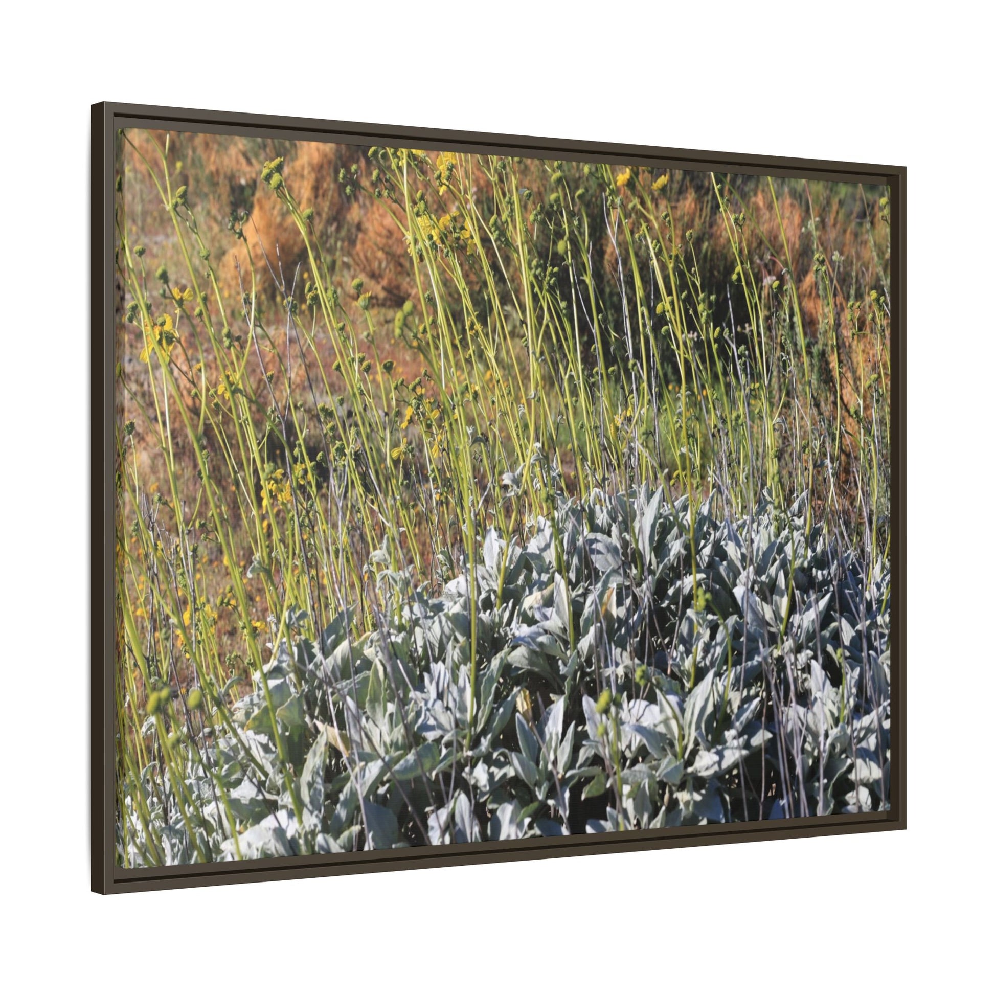 Arid Landscape with Yellow Flowers - Unique Stretched Canvas Wall Art - Art By Earth
