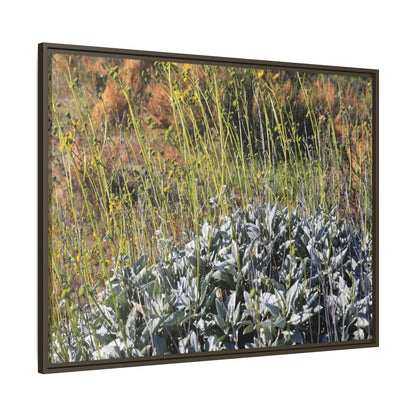 Arid Landscape with Yellow Flowers - Unique Stretched Canvas Wall Art - Art By Earth