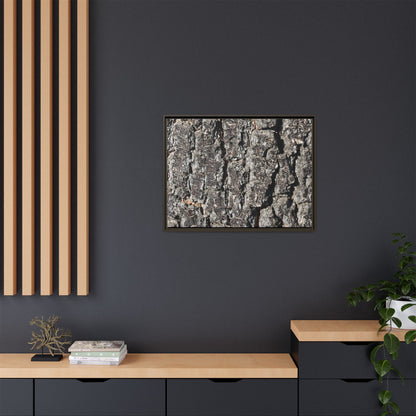 Bark Study in Gray - Unique Stretched Canvas Wall Art - Art By Earth
