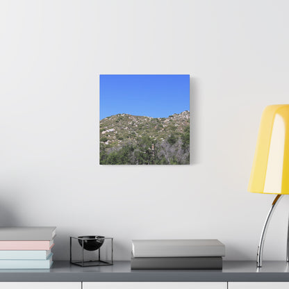 Rocky Hills with Desert Vegetation - Unique Frameless Canvas Wall Art