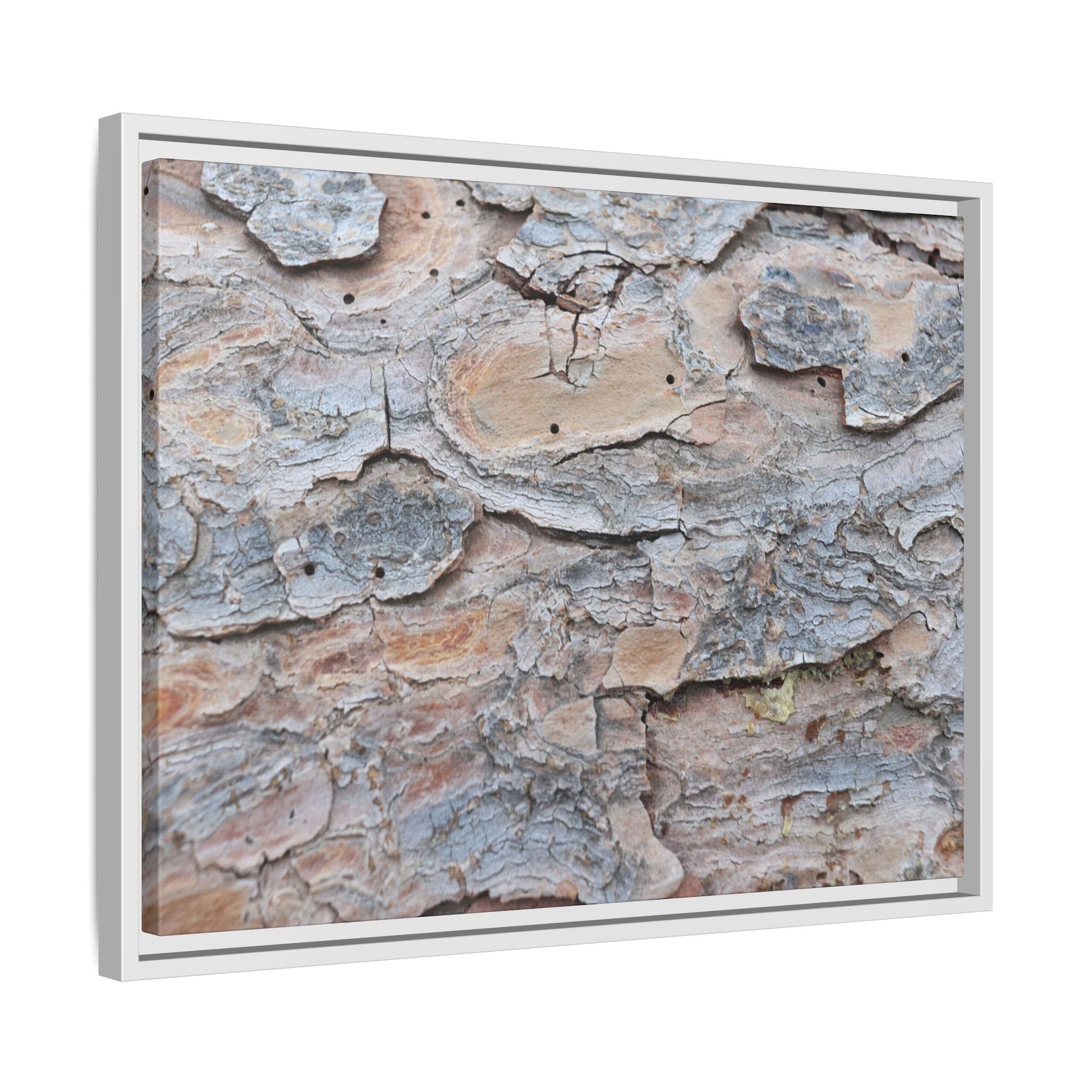 Peeling Memories - Unique Stretched Canvas Wall Art - Art By Earth