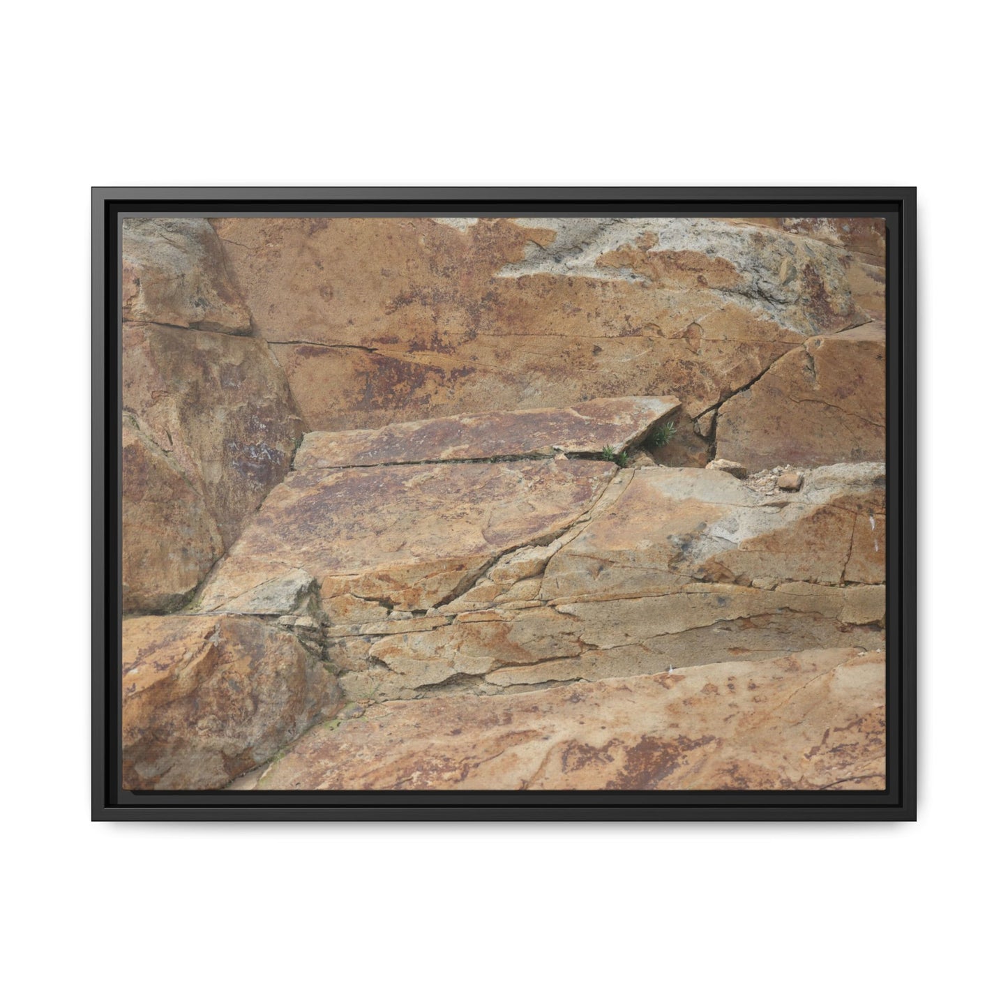 Ancient Foundations - Unique Stretched Canvas Wall Art - Art By Earth