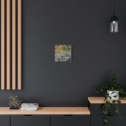Desert Wildflowers in Bloom - Unique Frameless Canvas Wall Art - Art By Earth
