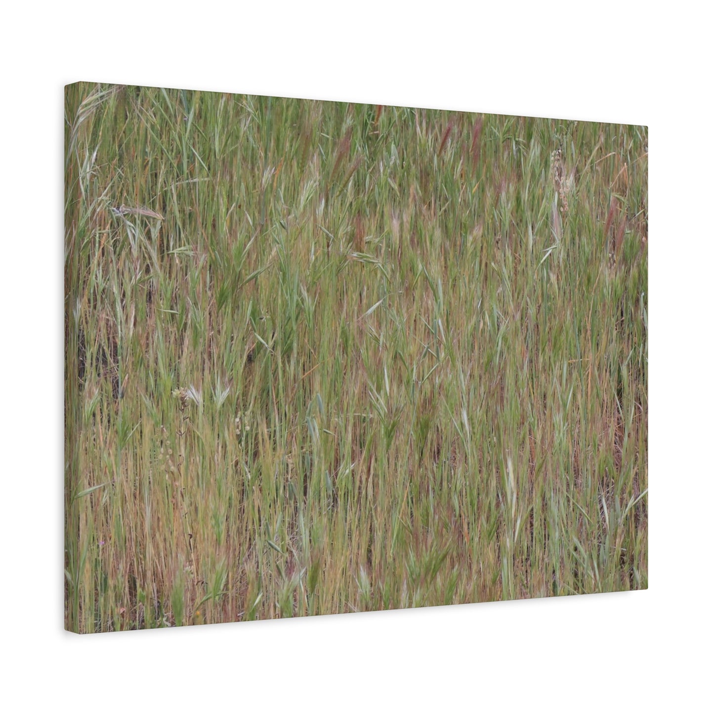 Whispers of the Prairie - Unique Frameless Canvas Wall Art - Art By Earth