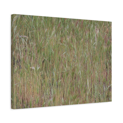 Whispers of the Prairie - Unique Frameless Canvas Wall Art - Art By Earth